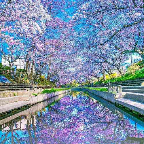 مهران رجبی زندونیمه می دست و بال دوسه از هر چی انتظار